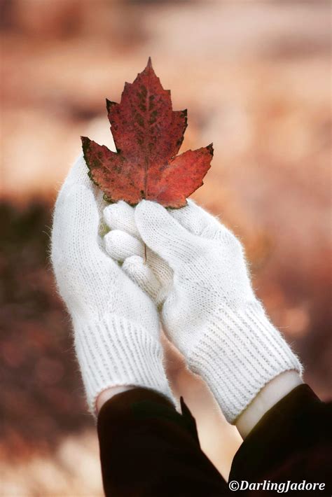 Classic Gloves Knitting Pattern, Darling Jadore, Women Knit Gloves