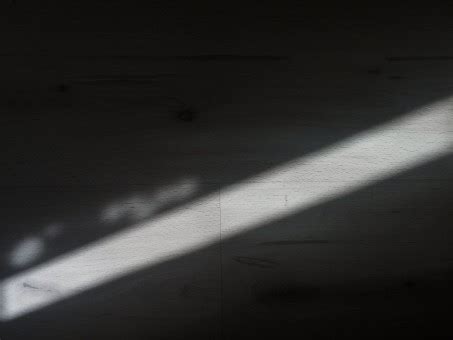 Безплатна снимка : крило, светлина, Черно и бяло, тъмнина, черно ...