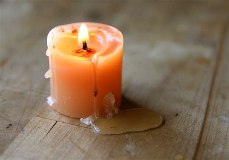 eat candle wax find