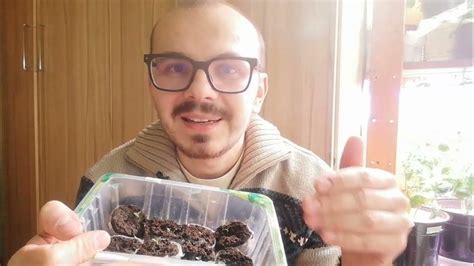 ПИКИРОВКА ЭУСТОМЫ. КОГДА и КАК ПРАВИЛЬНО ЕЁ СДЕЛАТЬ? - YouTube