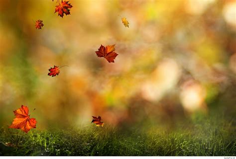September Autumn Wallpapers on WallpaperDog