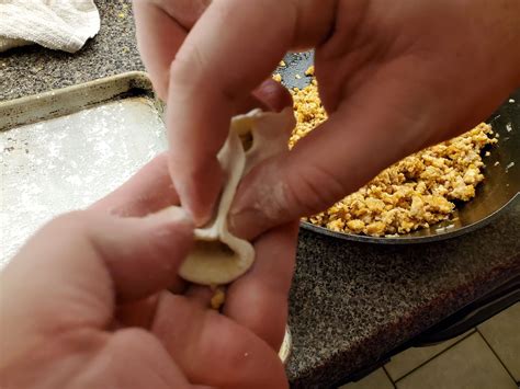 Steamed Chicken Dumplings – 10 Chickens to Maine