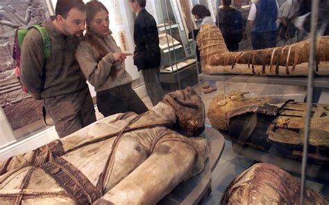 ancient egyptian mummies  british museums    display