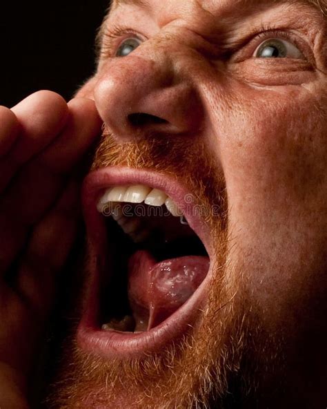 Shouting Loudly stock photo. Image of angry, goatee, male - 6961350
