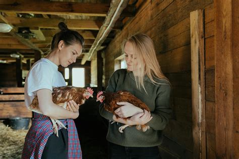 Girls Sucking Horse Cock Photos, Download The BEST Free Girls Sucking