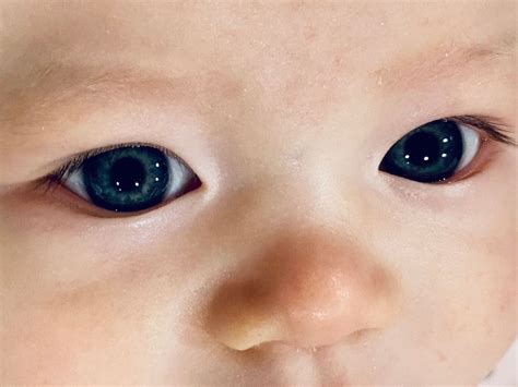 dark grey blue eyes baby rare beauty   parents