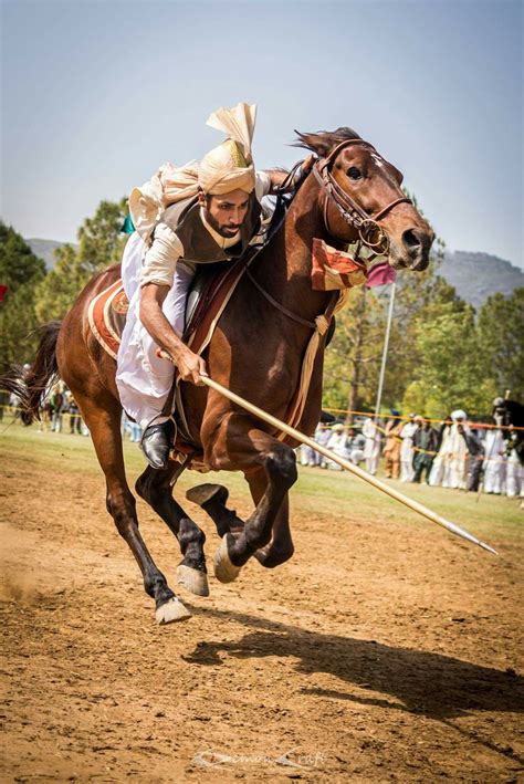 Pin on Pakistani horses
