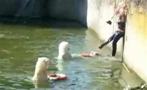 Most Shocking Zoo Accidents And Animal Attacks On Human. - Pets - Nigeria