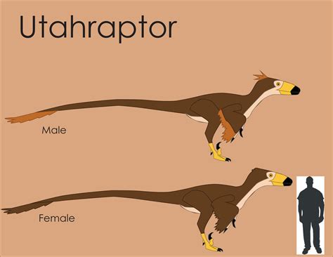 Utahraptor Size Comparison