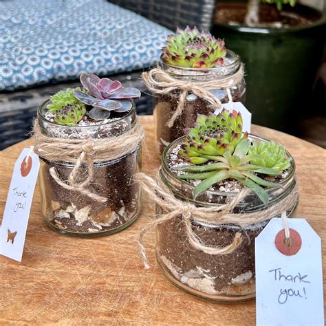 What Can You Grow In Glass Jars at Kasi Theisen blog