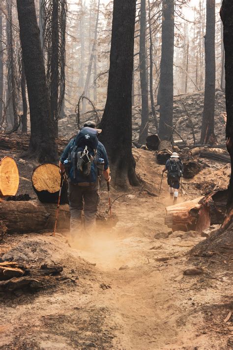 Canadian Wildfire Safety Products in 2023: Innovations for Protection