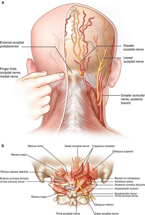 Occipital neuralgia diabetes
