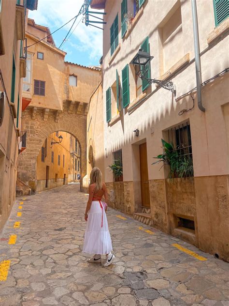 Hidden b&q doncaster garden deals surprise weekend shoppers 9