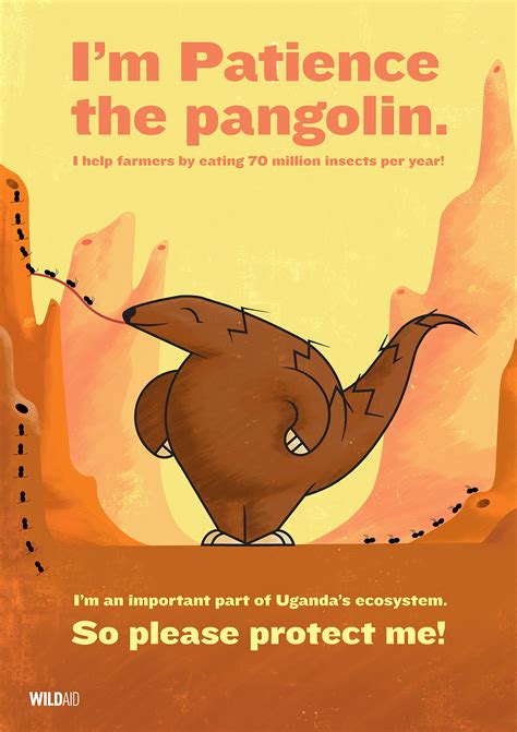 WildAid: Pangolin Campaign :: Behance