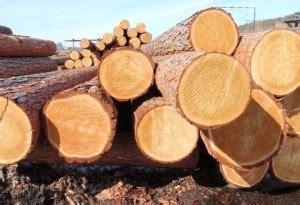 Объемный и удельный вес древесины всех пород.