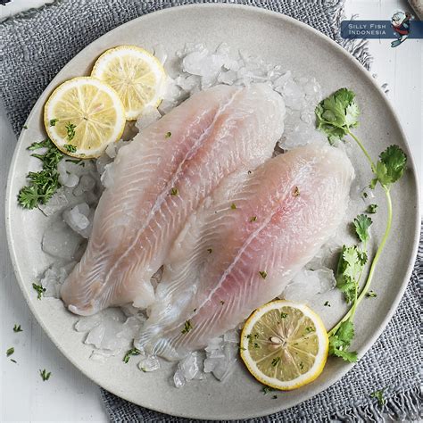 silly fish  indonesia targets localinternational growth