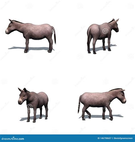 Der Esel Auf Dem Eis Miniaturen Mit Zeichnungen V 7