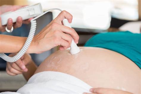 Da Pra Sentir O Coracao Do Bebe Bater Na Barriga - 20 Fatos Curiosos Sobre Os Bebês Ainda na Barriga - Admirável Curioso
