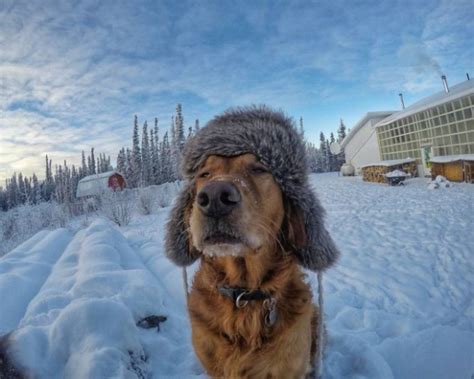 20 фотографий, наполненных волшебством настоящей зимы