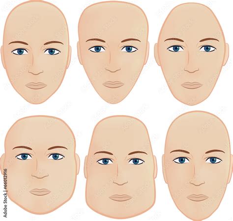 set    common head shapes stock vector adobe stock