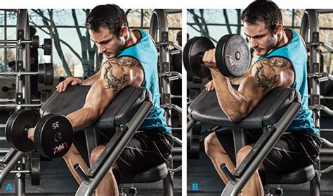 Curl de Bíceps en banco Scott con una Mancuerna | Biceps workout, Arm