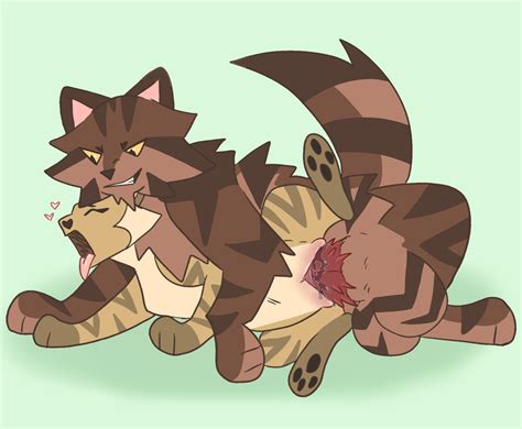 Rule 34 - deadingdog feral sandstorm (warriors) tagme tigerstar