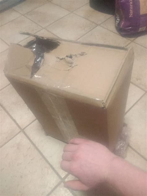 An explanation of how smh deaths are verified by the paper 17