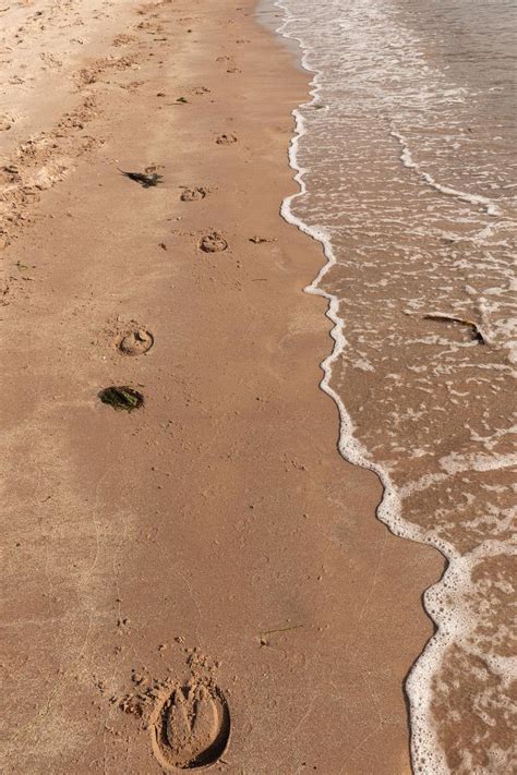 Wilder Ways Wild Families | Horse Riding Holidays Scotland