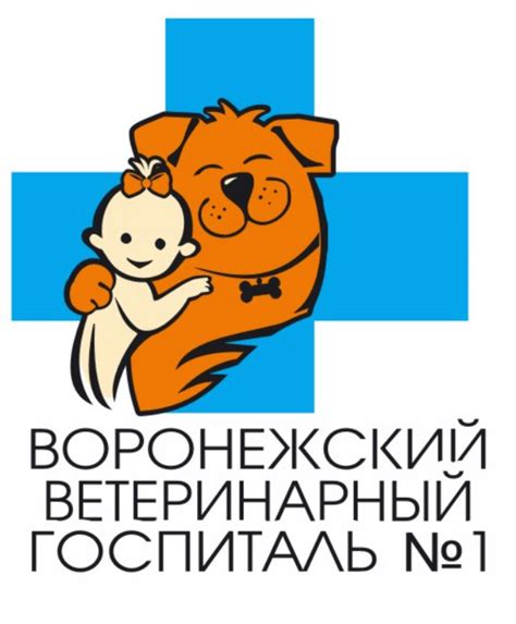 Ветеринарная клиника Воронеж – Забота о ваших питомцах круглосуточно