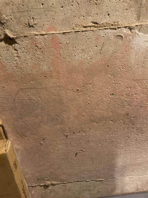 Pink mold in our basement? : r/Mold