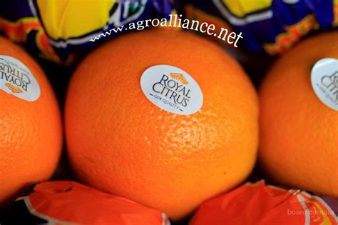 Апельсины и мандарины Royal Citrus™ - продам. Ціна 0.65 купити ...