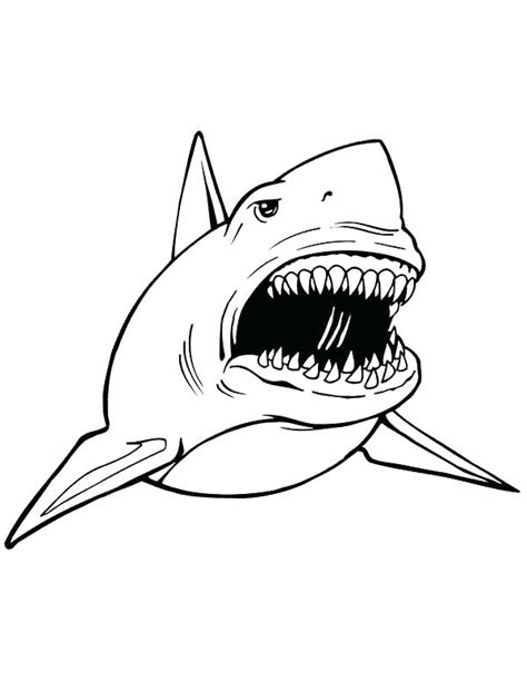 Lemon Shark Coloring Page at GetColorings.com | Free printable ...