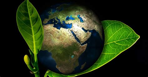O Que É Meio Ambiente Resumo - Meio Ambiente: o que é, resumo, importância e preservação - Significados