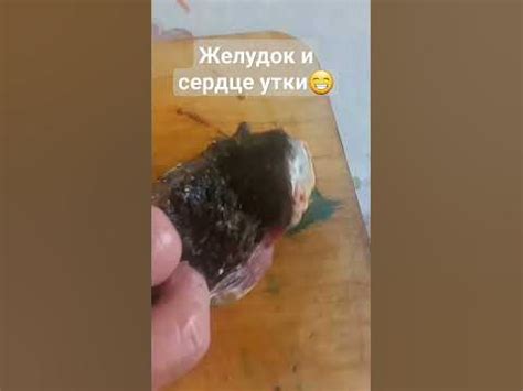 Желудок и сердце😜 - YouTube