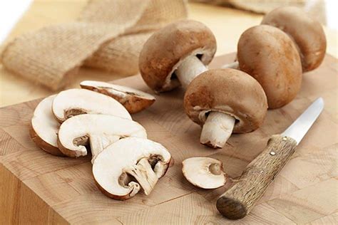 Cogumelo Que Pode Comer - Cogumelos comestíveis, quais são? Benefícios para a saúde