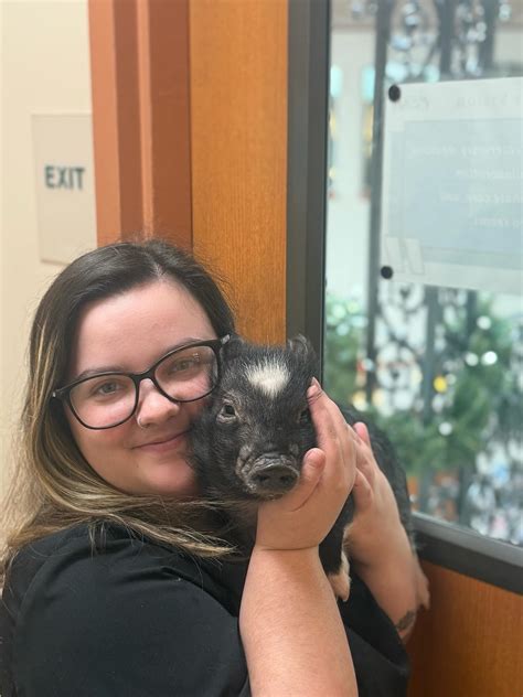 metairie small animal hospital 4