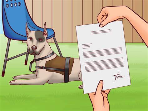 how to register a dog for a service dog