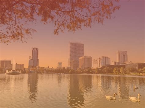 Lower processing fees at orange county clerk of courts 20