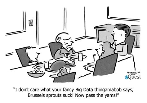 Big Data Cartoons — 2013 Archives - eQuest