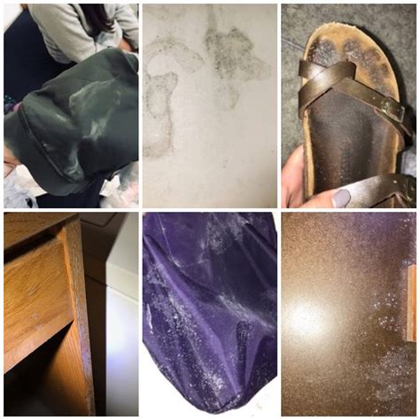 U.Md. students moved to hotels after mold concerns - WTOP News