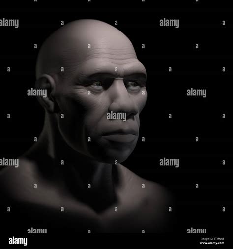 modern human homo sapiens  res stock photography  images alamy