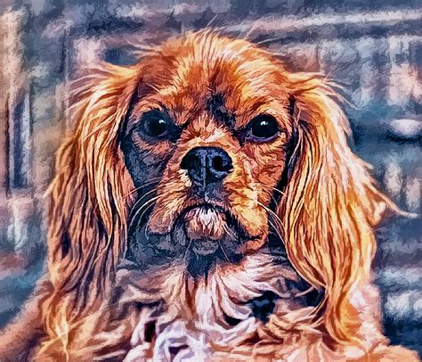 chien animal de compagnie image gratuite sur pixabay pixabay