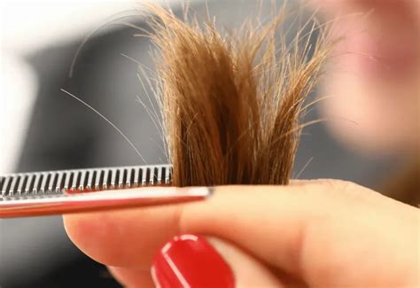 split ends types  prevent split ends treatment