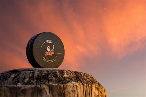 Complete Guide to Purchasing Tickets for San Diego Gulls Games 5