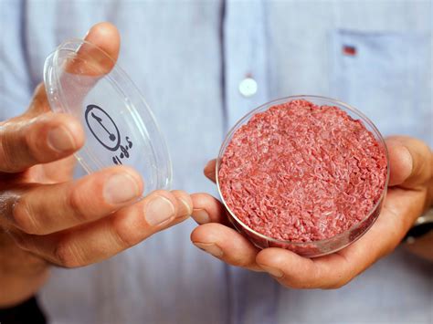 The Potential Cost Efficiency of Lab-Grown Meat - Cultivated Food