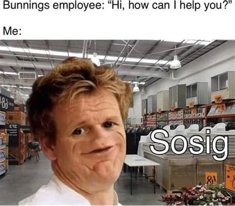 Sosig : r/AusMemes