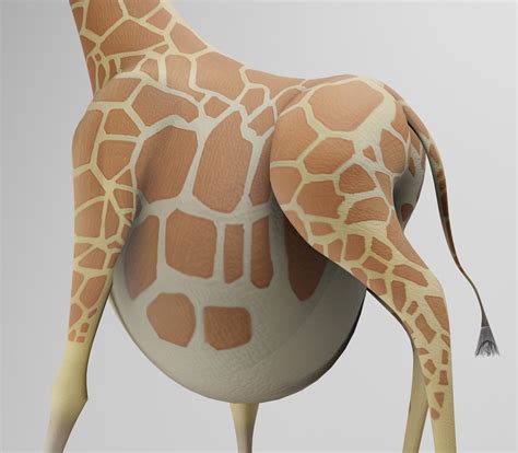 (Blender) High Hanging Belly by OCsDA on DeviantArt