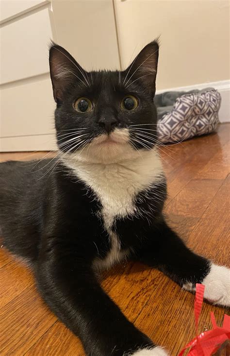 Mary and Martha (Courtesy Post) – Kitty Connection