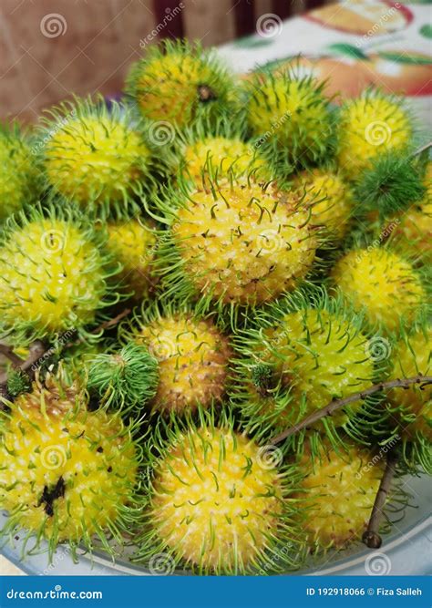 Tropical Fruit with Yellow Hairy Stock Photo - Image of local, plant
