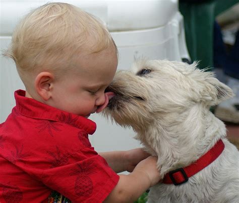 Big Kiss | Animals for kids, I love dogs, Animals friends